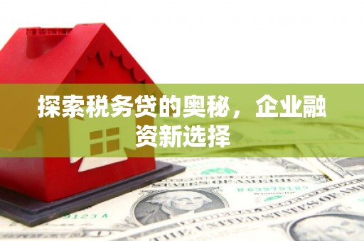 行唐探索税务贷的奥秘，企业融资新选择