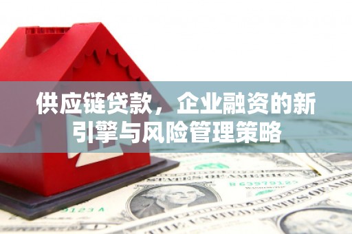 行唐供应链贷款，企业融资的新引擎与风险管理策略