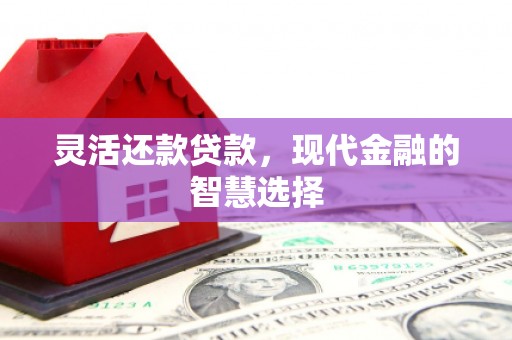 行唐灵活还款贷款，现代金融的智慧选择
