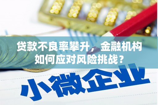 行唐贷款不良率攀升，金融机构如何应对风险挑战？