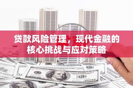 行唐贷款风险管理，现代金融的核心挑战与应对策略