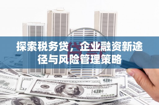 行唐探索税务贷，企业融资新途径与风险管理策略