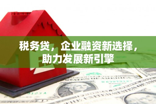 行唐税务贷，企业融资新选择，助力发展新引擎