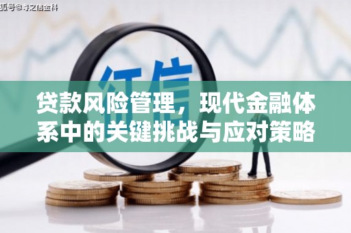 行唐贷款风险管理，现代金融体系中的关键挑战与应对策略