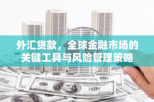 行唐外汇贷款，全球金融市场的关键工具与风险管理策略