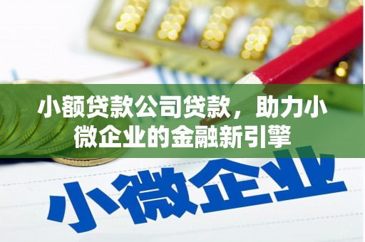 行唐小额贷款公司贷款，助力小微企业的金融新引擎