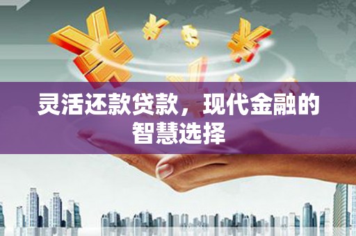 行唐灵活还款贷款，现代金融的智慧选择
