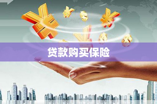 行唐贷款购买保险