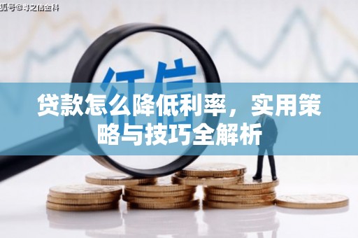 行唐贷款怎么降低利率，实用策略与技巧全解析