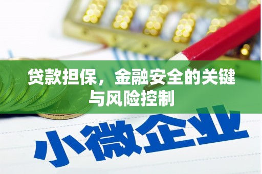 行唐贷款担保，金融安全的关键与风险控制