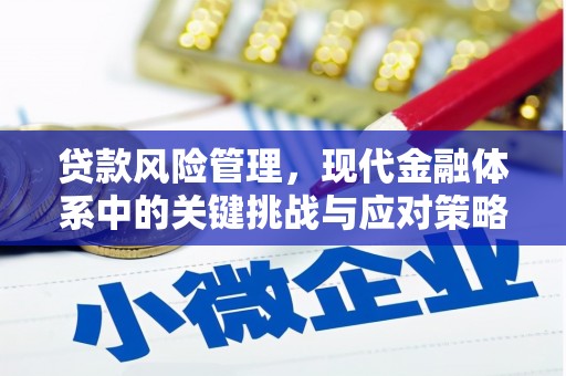 行唐贷款风险管理，现代金融体系中的关键挑战与应对策略