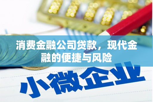 行唐消费金融公司贷款，现代金融的便捷与风险