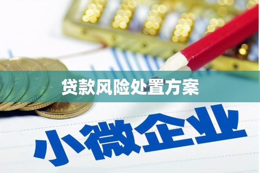 行唐贷款风险处置方案