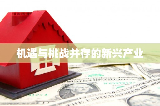 行唐机遇与挑战并存的新兴产业