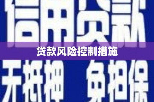 行唐贷款风险控制措施