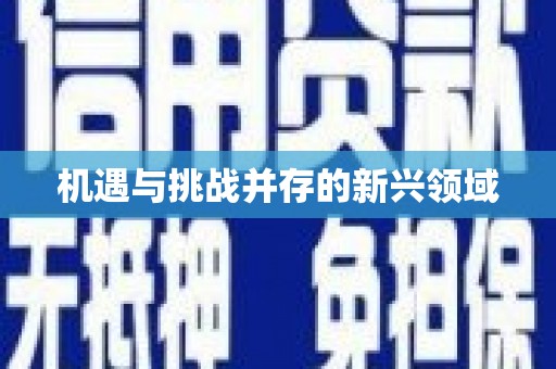 行唐机遇与挑战并存的新兴领域
