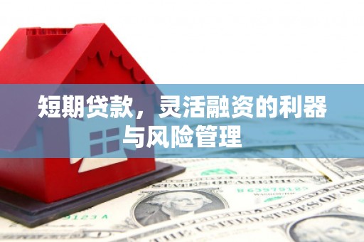 行唐短期贷款，灵活融资的利器与风险管理